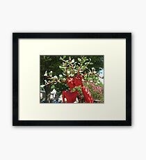 Hug, hug, kiss, kiss Framed Print