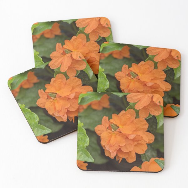 Item preview, Orange Flower Photographic Image designed and sold by AustaArt.