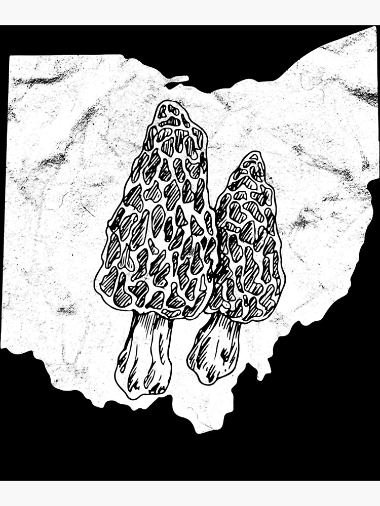 "Ohio Morel Mushroom Hunting" Poster for Sale by GravesByrd Redbubble