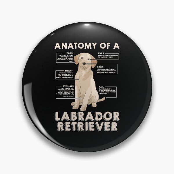 Item preview, Funny Anatomy Of A Labrador Retriever Graphic With Saying designed and sold by erstrudy75.
