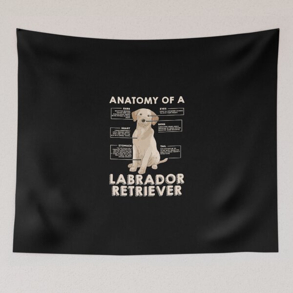 Item preview, Funny Anatomy Of A Labrador Retriever Graphic With Saying designed and sold by erstrudy75.