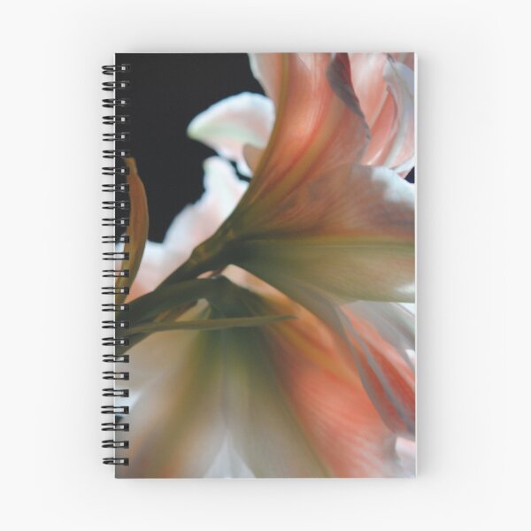 Item preview, Amaryllis In The Light designed and sold by bloomingvine.