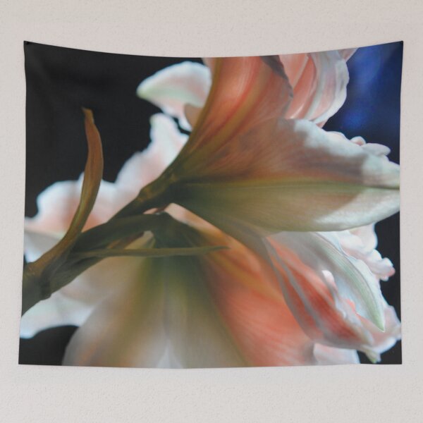 Item preview, Amaryllis In The Light designed and sold by bloomingvine.