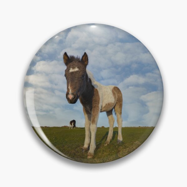 Item preview, Dartmoor Foal designed and sold by rawshutterbug.