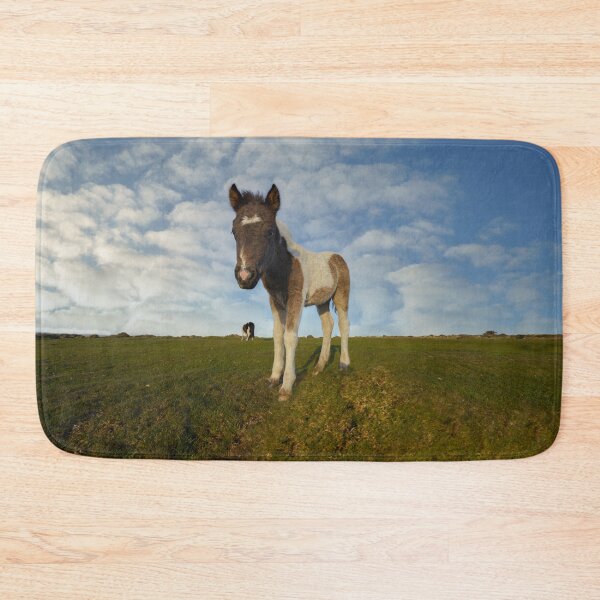 Item preview, Dartmoor Foal designed and sold by rawshutterbug.