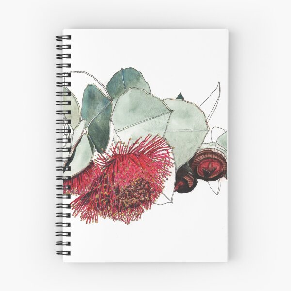 Aperçu de l'œuvre Fleurs d'eucalyptus Mallee, noix de gomme rouge créée et vendue par blueidesign.