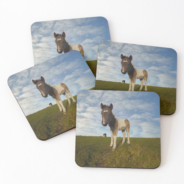 Item preview, Dartmoor Foal designed and sold by rawshutterbug.