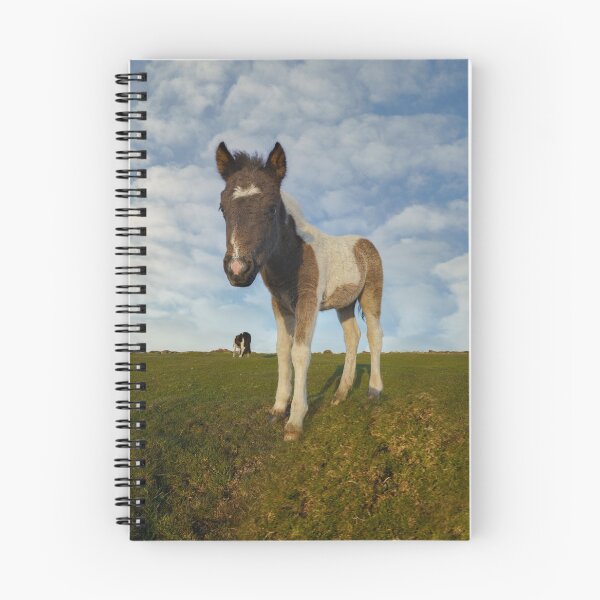 Item preview, Dartmoor Foal designed and sold by rawshutterbug.
