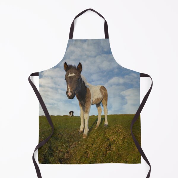 Item preview, Dartmoor Foal designed and sold by rawshutterbug.