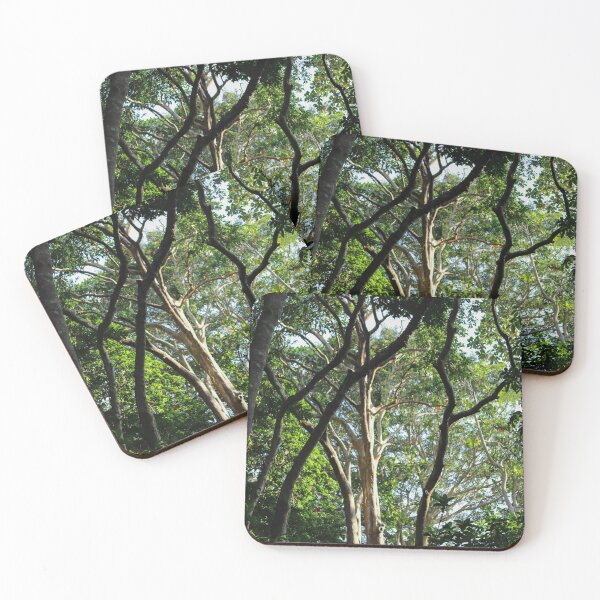 Item preview, Bosque de monos en la selva tropical de Ubud, Indonesia designed and sold by ExploreYK.