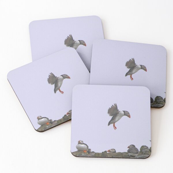 Item preview, Puffin Coming In To Land - Farne Islands designed and sold by Graham Geldard Photography.