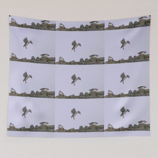 Item preview, Puffin Coming In To Land - Farne Islands designed and sold by Graham Geldard Photography.
