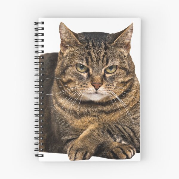 Item preview, Lonely cat designed and sold by Seiya Kipgen.