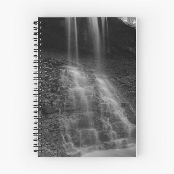 Item preview, Blue Hen Falls in B&W designed and sold by Selainae Tavros.