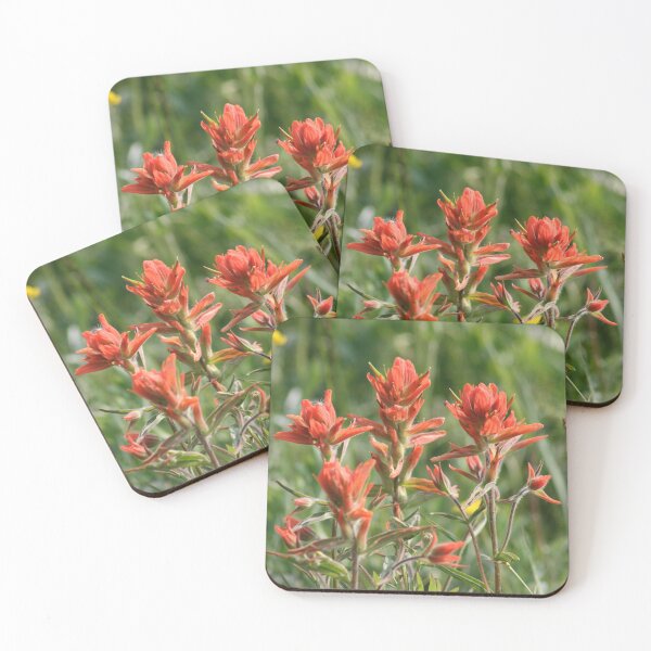 Item preview, MOUNTAIN WILDFLOWERS designed and sold by Brenda Planchon.