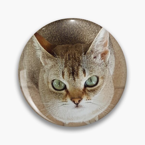 Item preview, Speedball looking up designed and sold by Cat-yawns.