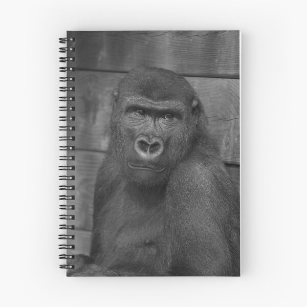 Item preview, Gorilla Portrait Mono designed and sold by rawshutterbug.
