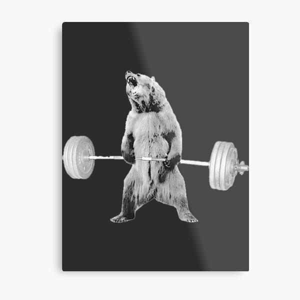 Bear Deadlift | Gift Perfect Metal Print