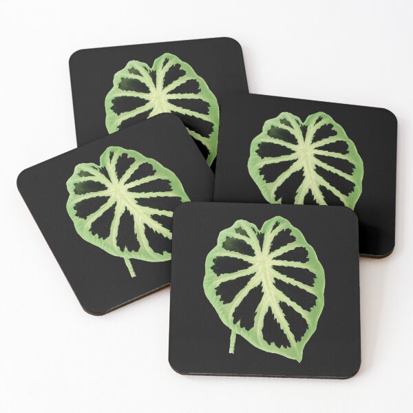 Item preview, Colocasia affinis ‘Jenningsii’ - Rothschild - Botanical Illustration designed and sold by chimakingthings.