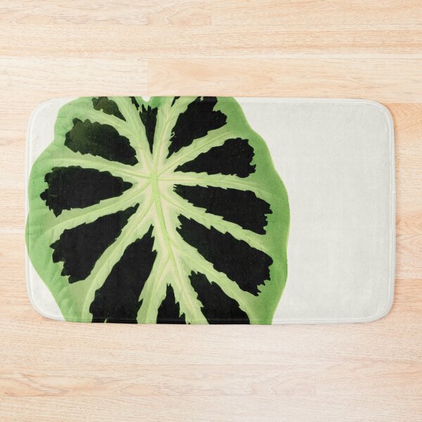 Item preview, Colocasia affinis ‘Jenningsii’ - Rothschild - Botanical Illustration designed and sold by chimakingthings.