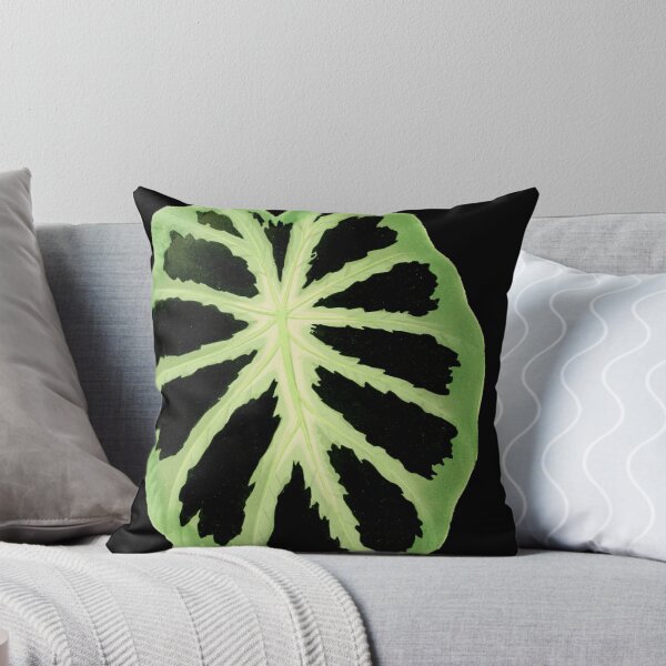 Item preview, Colocasia affinis ‘Jenningsii’ - Rothschild - Botanical Illustration designed and sold by chimakingthings.