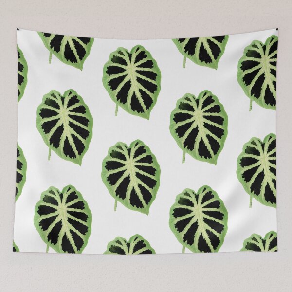 Item preview, Colocasia affinis ‘Jenningsii’ - Rothschild - Botanical Illustration designed and sold by chimakingthings.