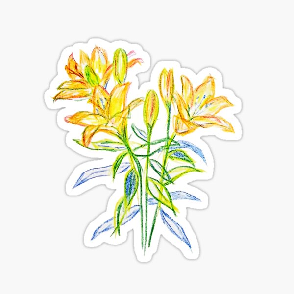 Tulips color pencil Sticker