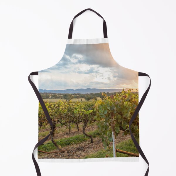 Artikelvorschau, Sonnenuntergang über einem Weinberg in der Weinregion Mudgee entworfen und verkauft von Martin Berry Photography.