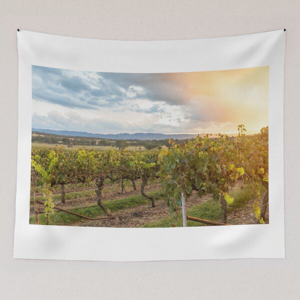 Item preview, Sunset over a vineyard in Mudgee wine region designed and sold by Martin Berry Photography.