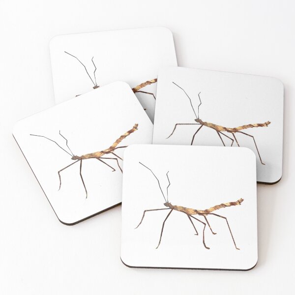 Item preview, Stick insect designed and sold by BabbanGaelg.