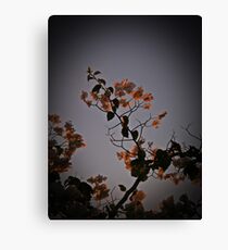 Geraldton Canvas Print