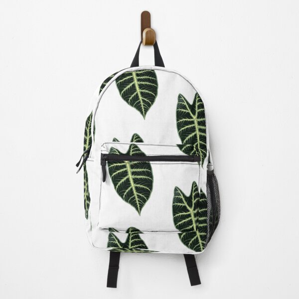 Item preview, Alocasia Longiloba - Rothschild - Botanical Illustration designed and sold by chimakingthings.