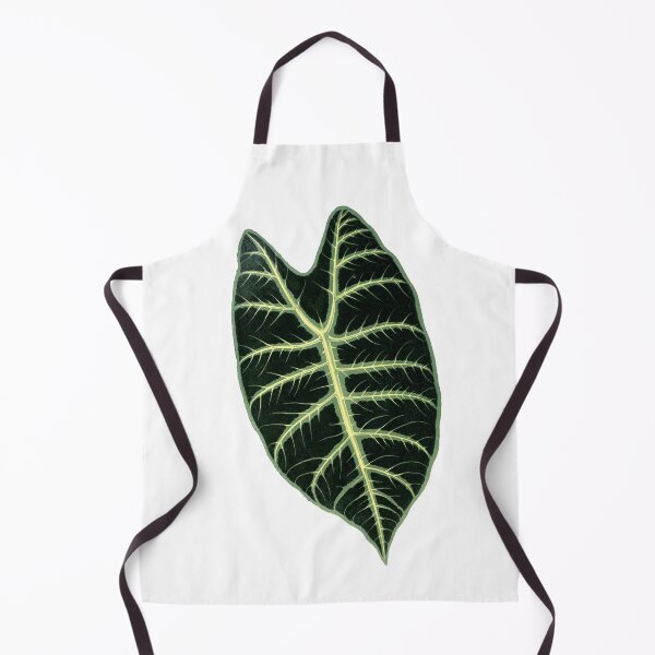 Item preview, Alocasia Longiloba - Rothschild - Botanical Illustration designed and sold by chimakingthings.