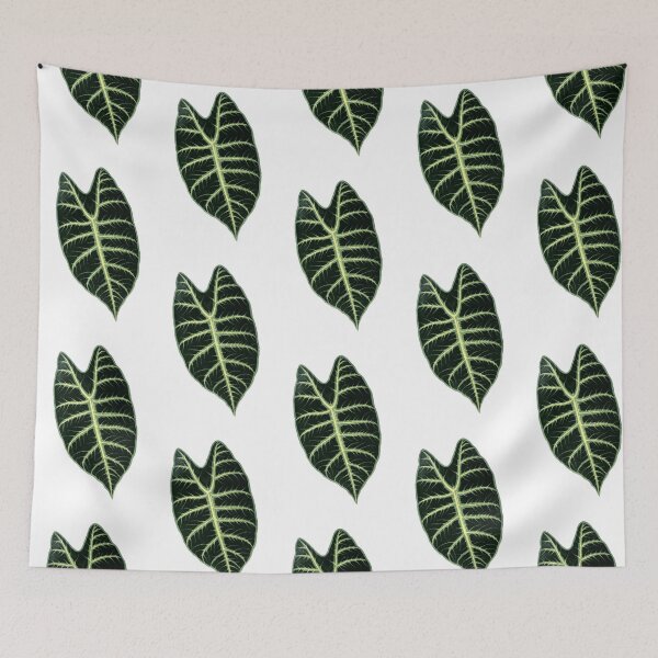 Item preview, Alocasia Longiloba - Rothschild - Botanical Illustration designed and sold by chimakingthings.