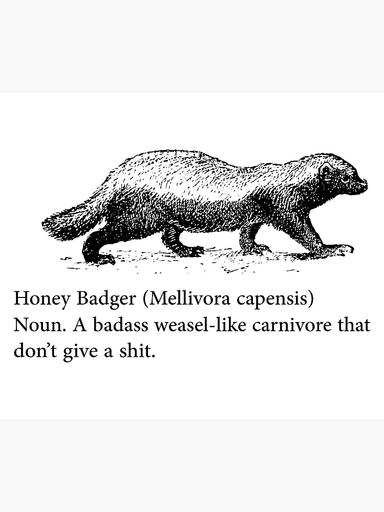 "Honey Badger Definition" Poster for Sale by Yvonn3 Redbubble