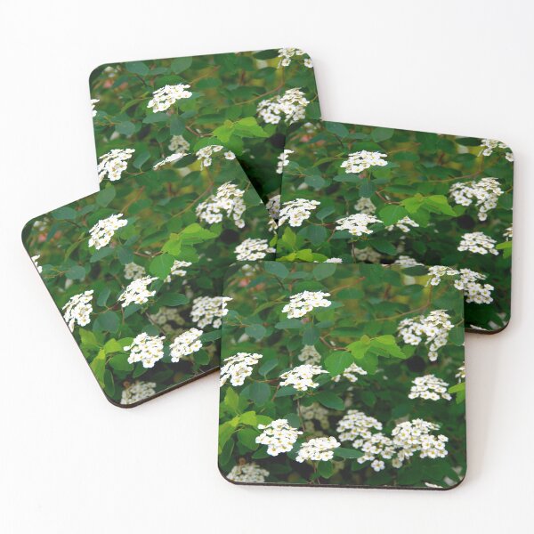 Item preview, spring designed and sold by Babbler01.