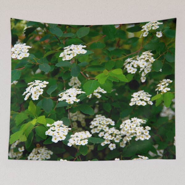 Item preview, spring designed and sold by Babbler01.