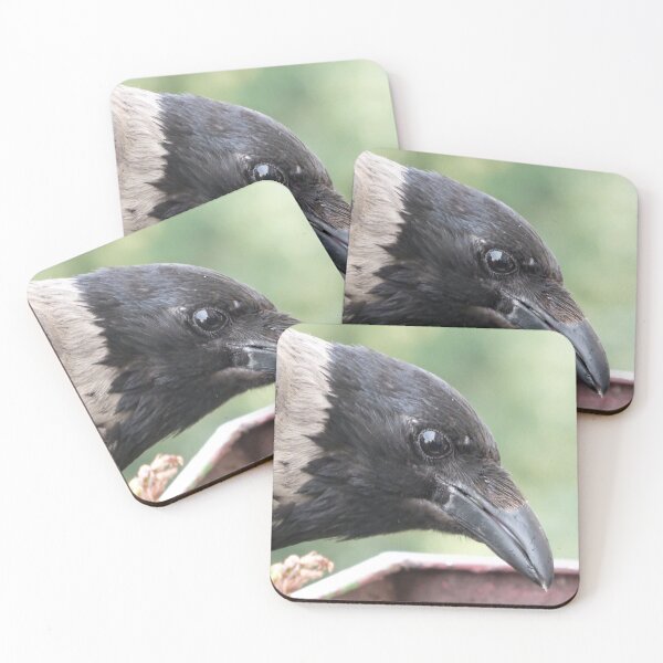Item preview, Hooded crow designed and sold by Babbler01.