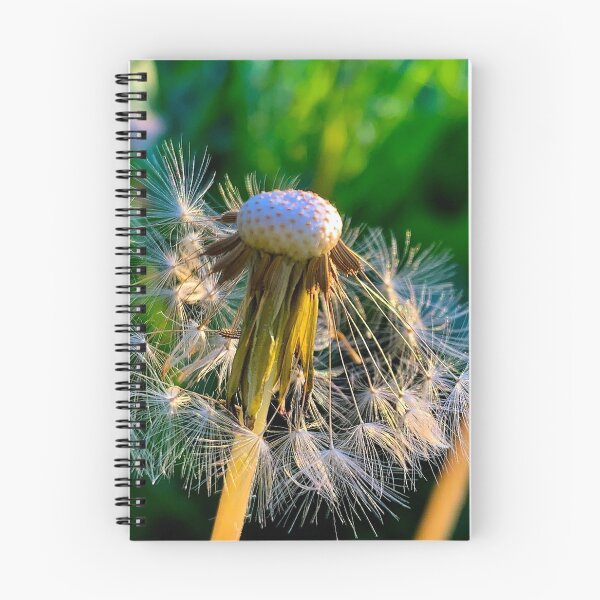 Item preview, Dandelion seeds in the garden  designed and sold by Poppy-World.