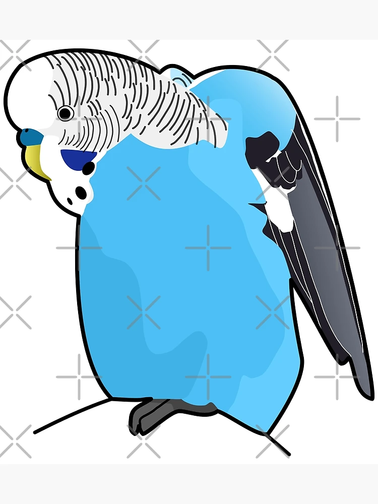 Carte de vœux for Sale avec l'œuvre « Oh mon millet !, Perruche bleue  surprise, Citation d'oiseau perruche parlante drôle » de l'artiste  Koalaslifestyle