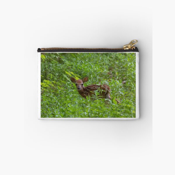 Item preview, Baby Fawn designed and sold by JC-Photography.
