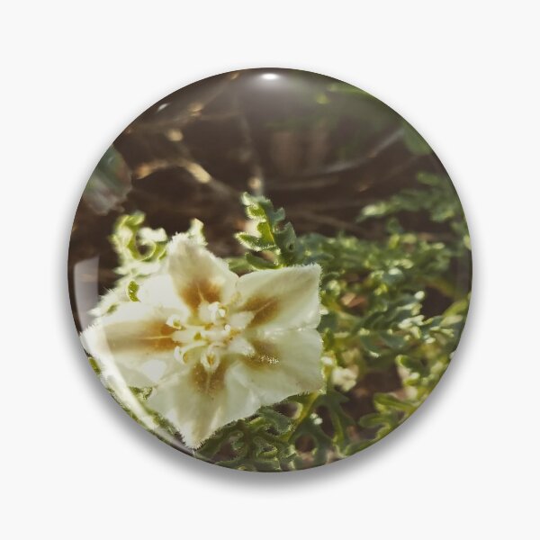Item preview, Pale Yellow Bloom In The Bright Sunshine designed and sold by LarryDawn.