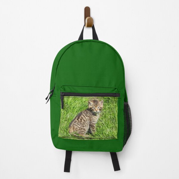 Item preview, A Gorgeous Scottish Wildcat Kitten designed and sold by Karen Thomson.