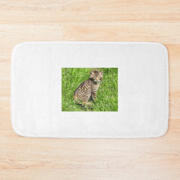 Item preview, A Gorgeous Scottish Wildcat Kitten designed and sold by Karen Thomson.
