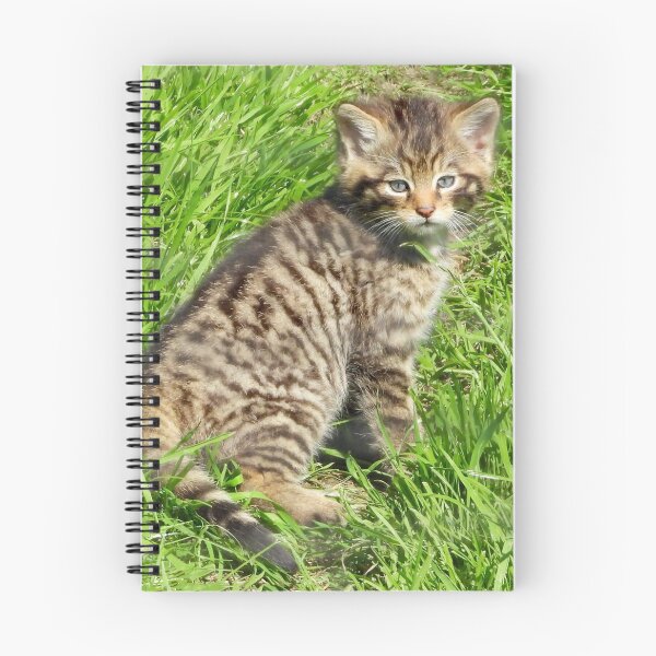 Item preview, A Gorgeous Scottish Wildcat Kitten designed and sold by Karen Thomson.