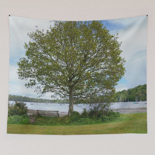 Item preview, Dittisham Single Tree And Bench designed and sold by rawshutterbug.