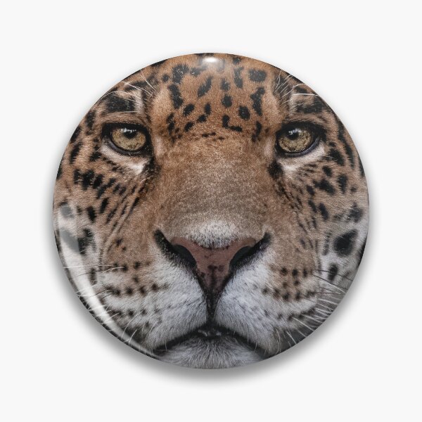Item preview, Jaguar designed and sold by JarbasVisuals.