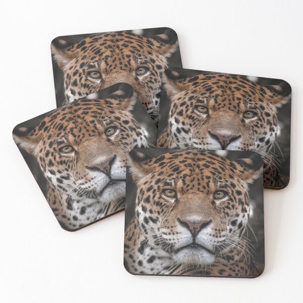 Item preview, Jaguar designed and sold by JarbasVisuals.