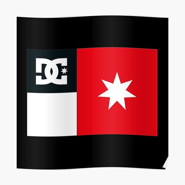 dc shoe company owner