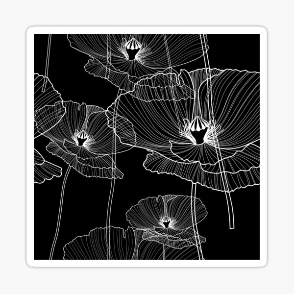 "Black and white poppy/poppy lines/poppy flowers/wild flowers/large